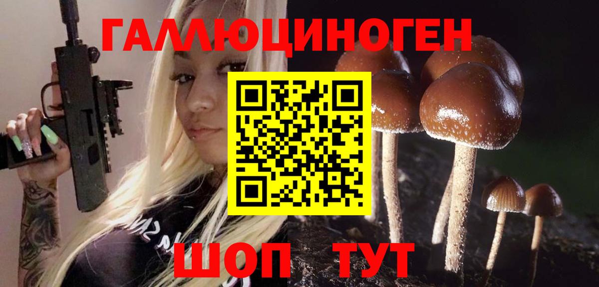 Галлюциногенные грибы мухоморы Шатура